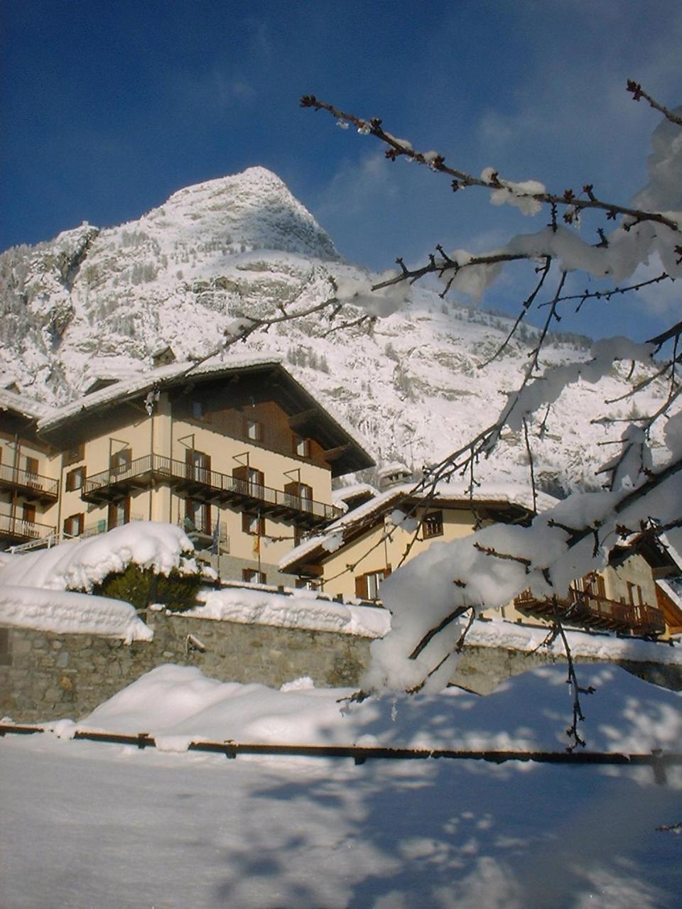 Hotel Ottoz Meublé Courmayeur Exterior foto